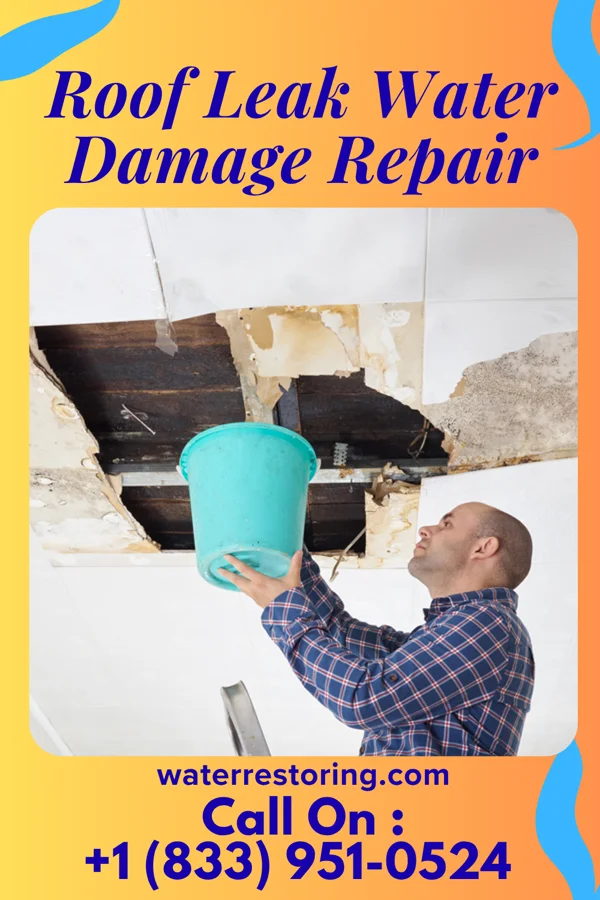 Roof Leak Water Damage Repair in Hasley Canyon, CA